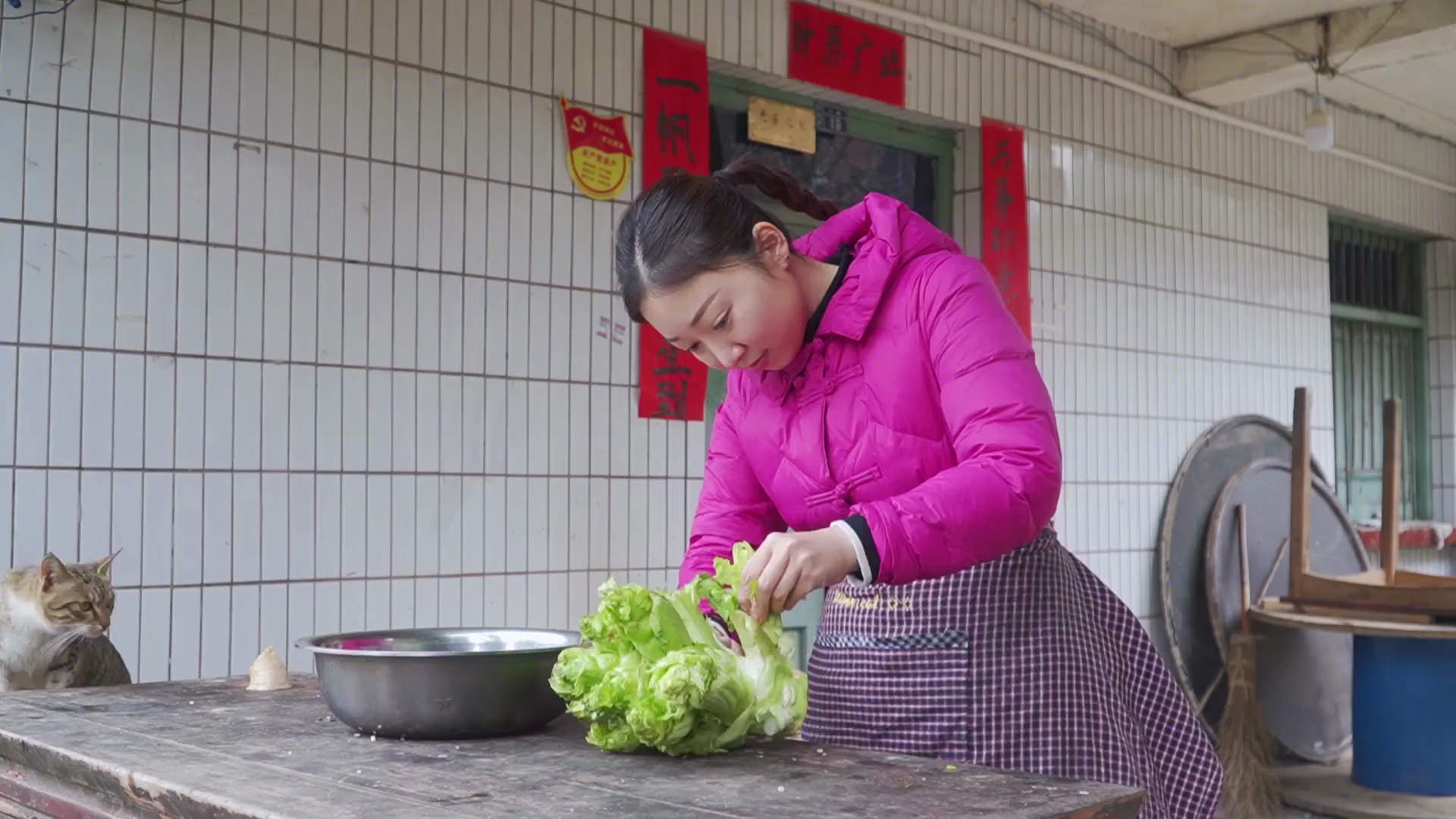 今天去参加试毒大会了，如果明天不能正常更新视频，那就是……