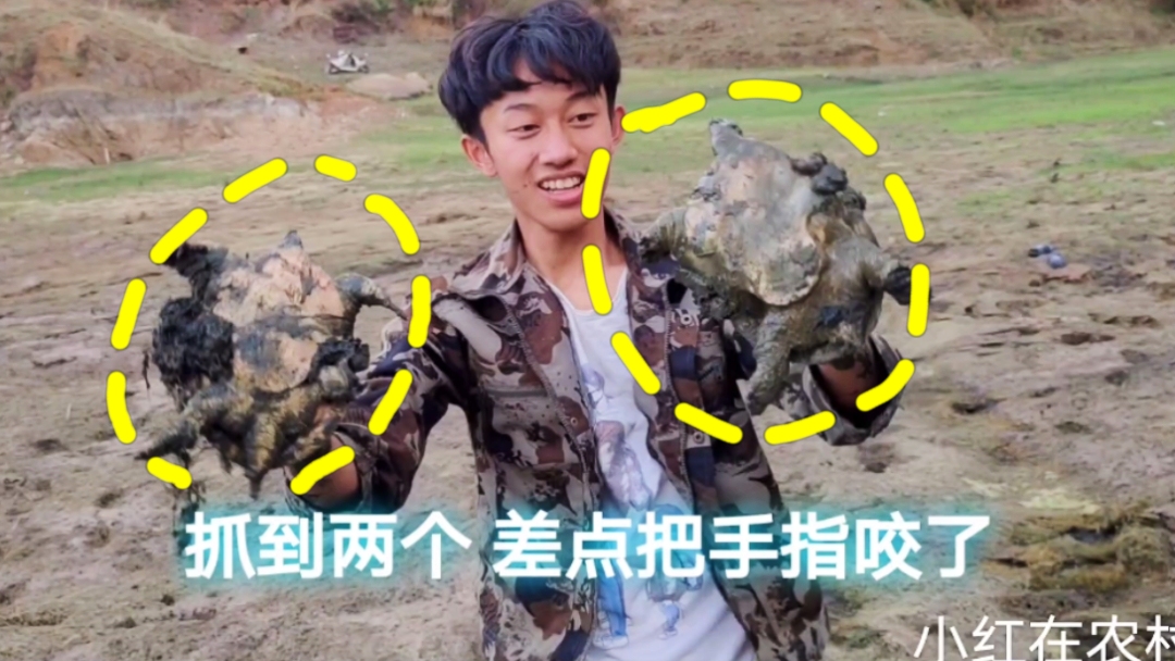 水库边很多漏水的地方，原来全是鱼窝