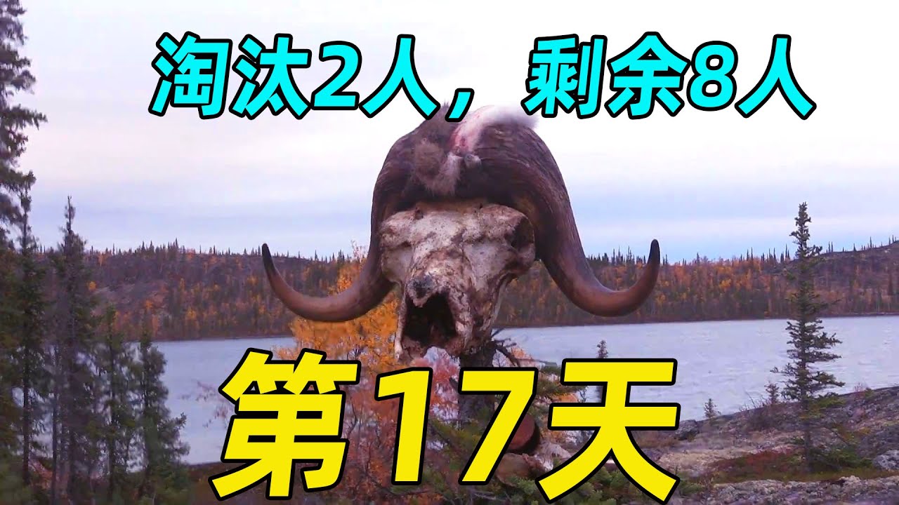《挑战北极生存100天》04：20天才吃到1只松鼠，老哥饿到退出比赛