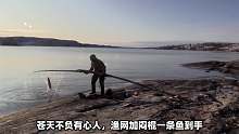 《挑战北极生存100天》06：一刀干翻七百多斤麝牛，这是个狠人！