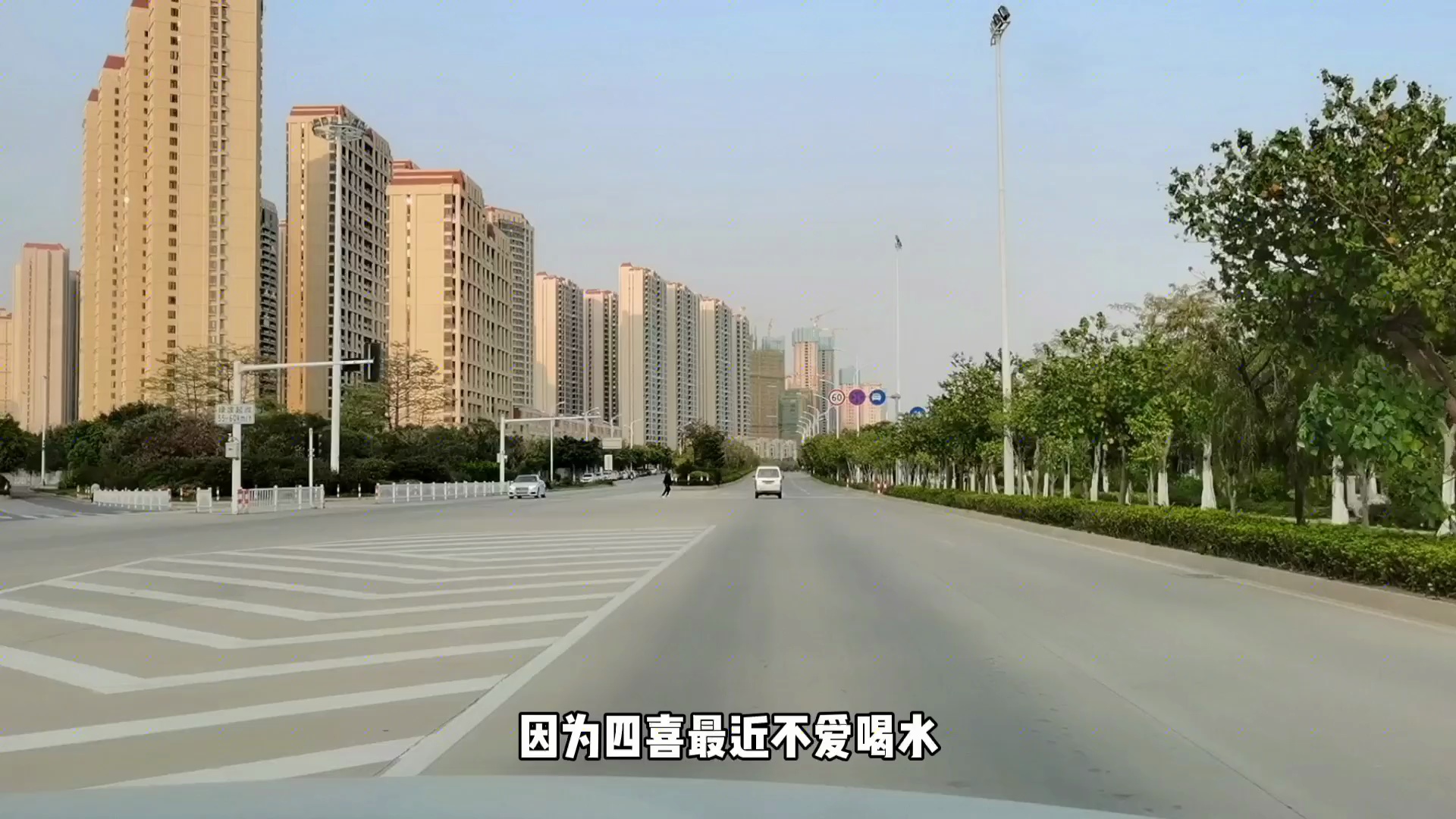 壮汉被抡圆了甩出去，内蒙古年轻跤王又拽又萌，6分41秒高能