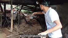 农村小伙听老人说，深山里面有座古宅，一行人刚进去就被吓跑出来