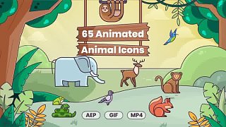 AE模板-65个卡通动物形象ICON图标动画 65 Animated Animal Icons