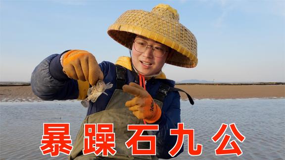 大梅退潮后赶海，暴躁石九公被鱼群抛弃，大梅抓回家准备放鱼缸！