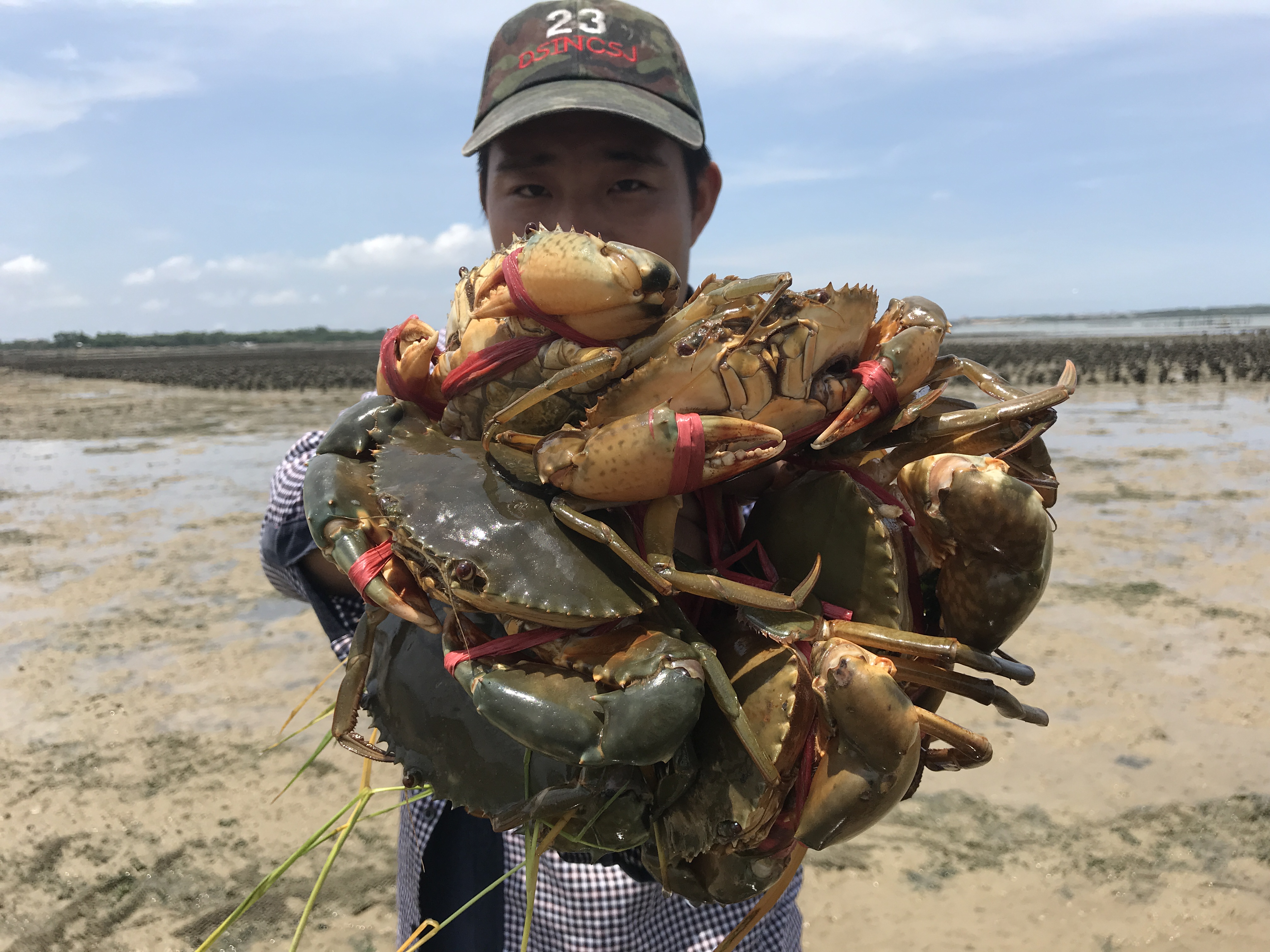 大退潮露出一条城堡，海货品种太多了，阿兴连抓靓货太过瘾了