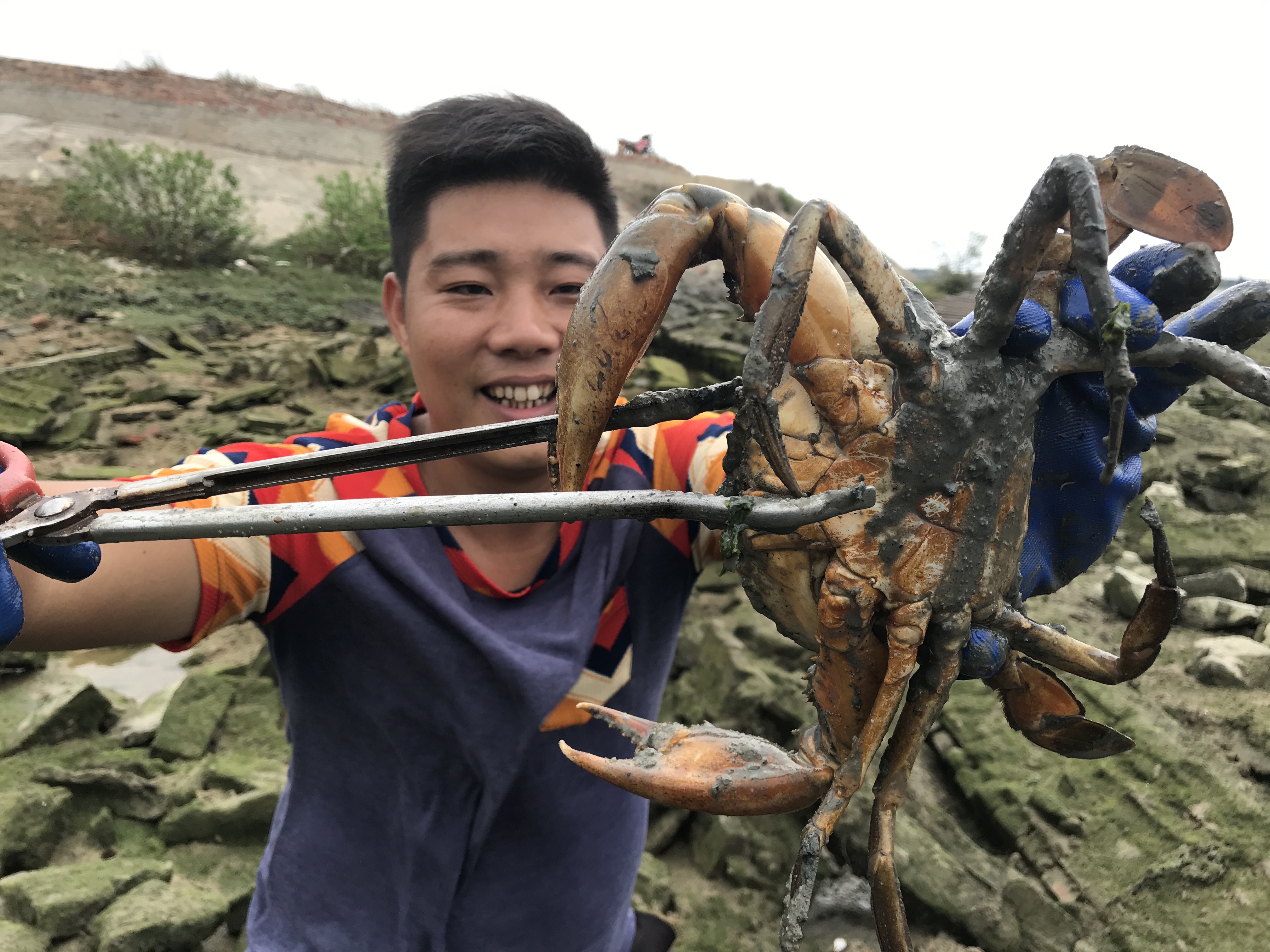 阿兴赶海抓螃蟹太牛了，水下直接摸出两斤大青蟹，这次要发财节奏