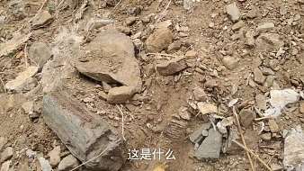 小紅在農(nóng)村虎牙地方直播_小紅在農(nóng)村視頻直播 - 虎牙直播