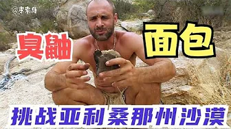 单挑荒野09 德爷挑战戈壁沙漠捕蜥蜴抓刺猬，都是他的美味大餐