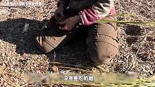 荒野独居第三季08 -71天,全员极度饥饿,导致多人退赛