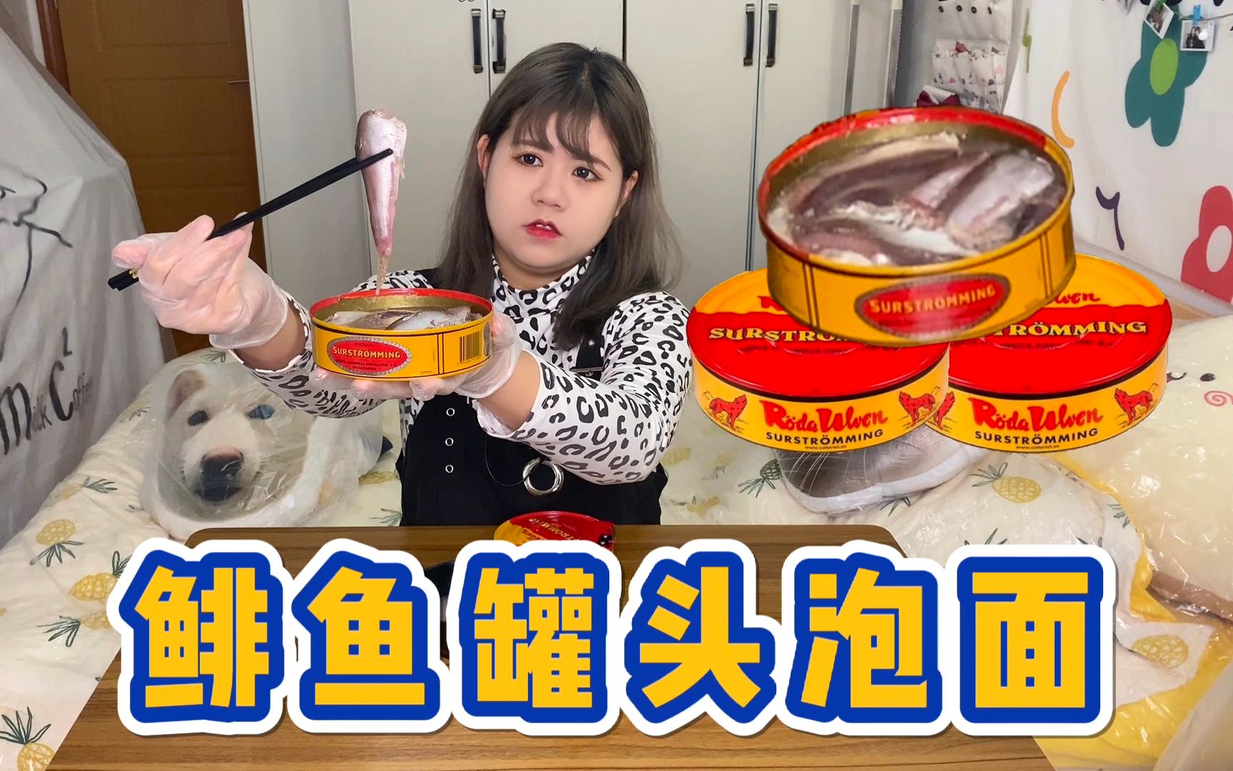 又大又硬的果丹皮你们吃过吗，这玩意儿竟然还能做衣服？？