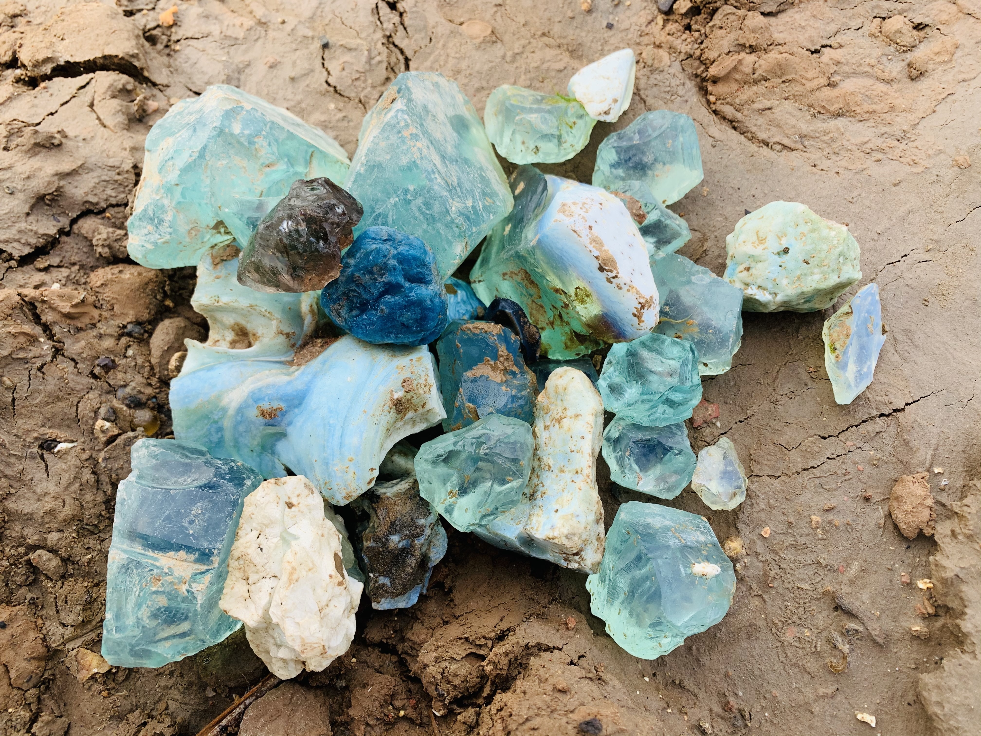 这才是二蛋的发财宝地，海边捡到了黑色透明水晶石，直呼不敢相信