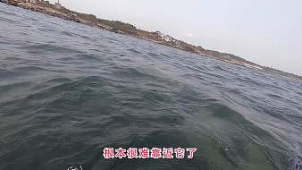 探海漁人戶外直播_探海漁人視頻直播 - 虎牙直播