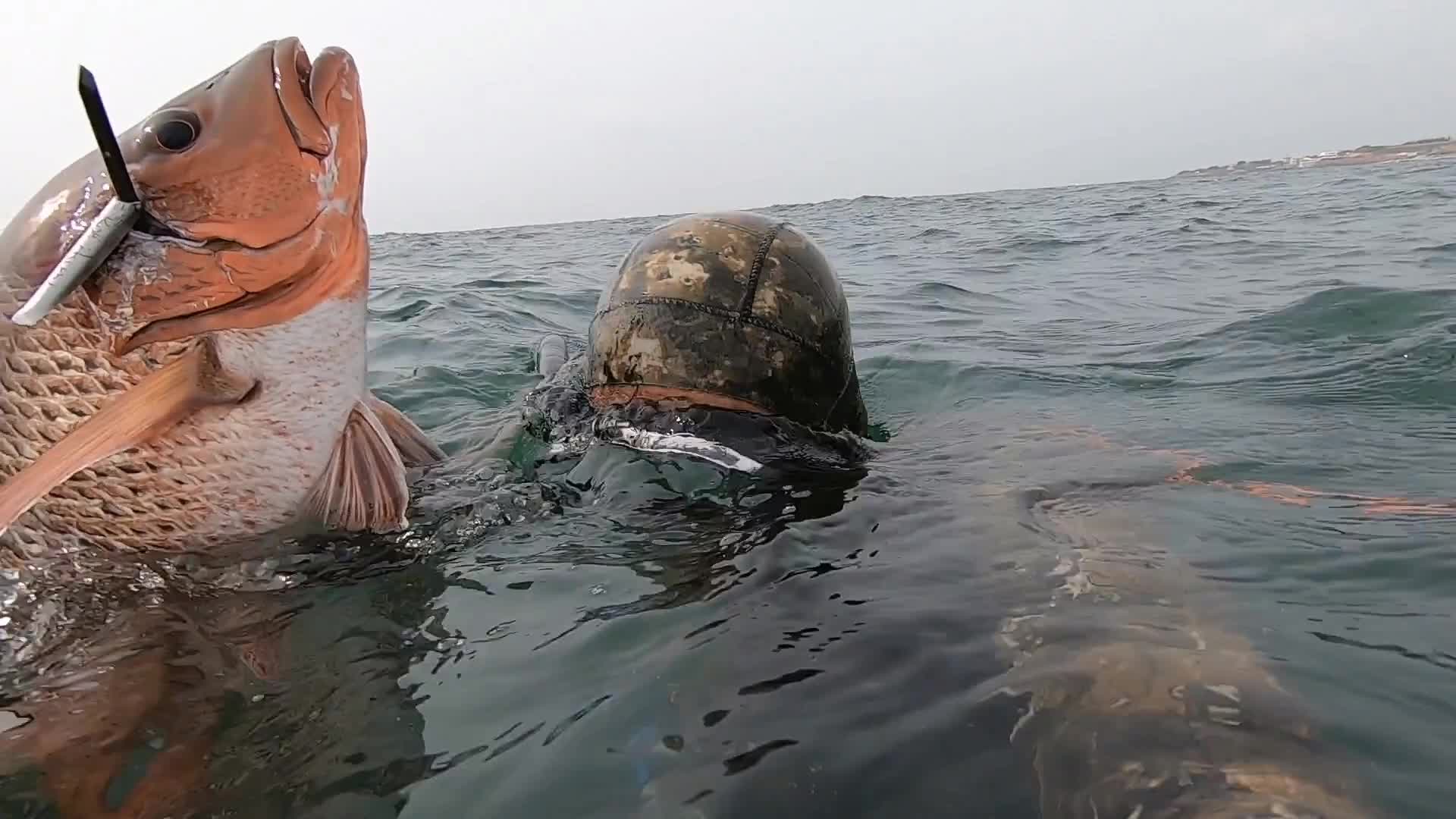 我发布了一个新视频，快来围观吧！