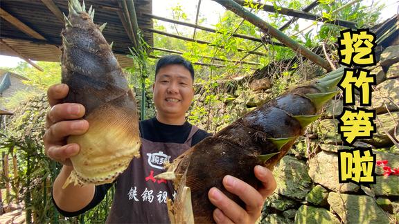 山上的竹笋疯长，挖回家晒干再煮上一锅鳝鱼，别提有多美味