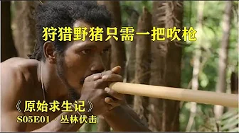 《原始求生记》第五季第1集，这个部落不种地，没有食物就迁徙