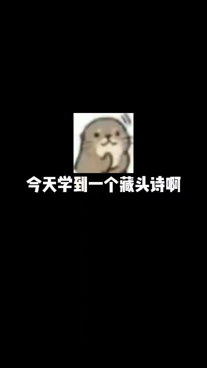 欢迎来到棋白白的直播间