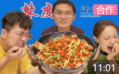 投 辣 既 遂【盗月社 X 罗翔】