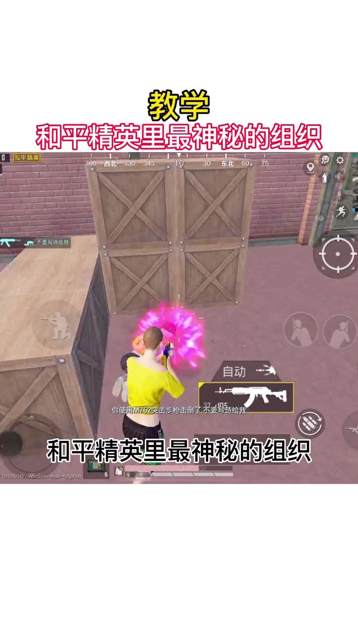 欢迎来到和平精英明洋的直播间