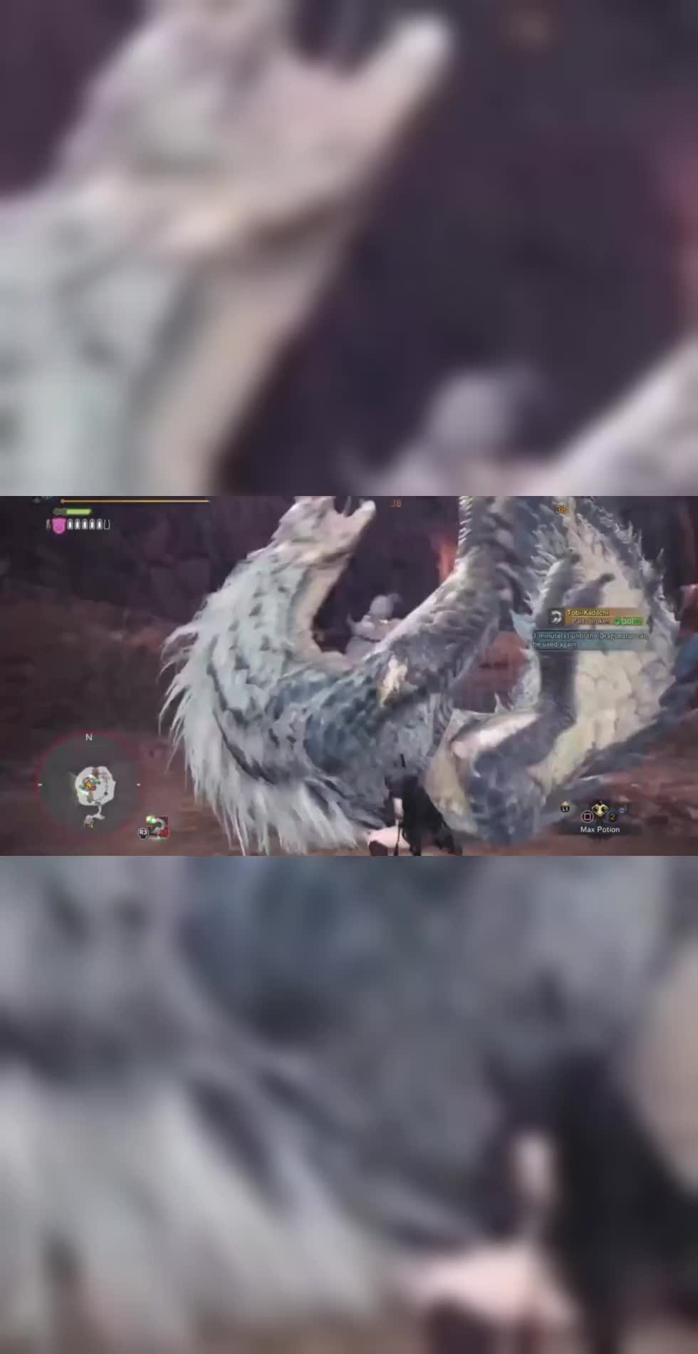 欢迎来到魔兽者的直播间