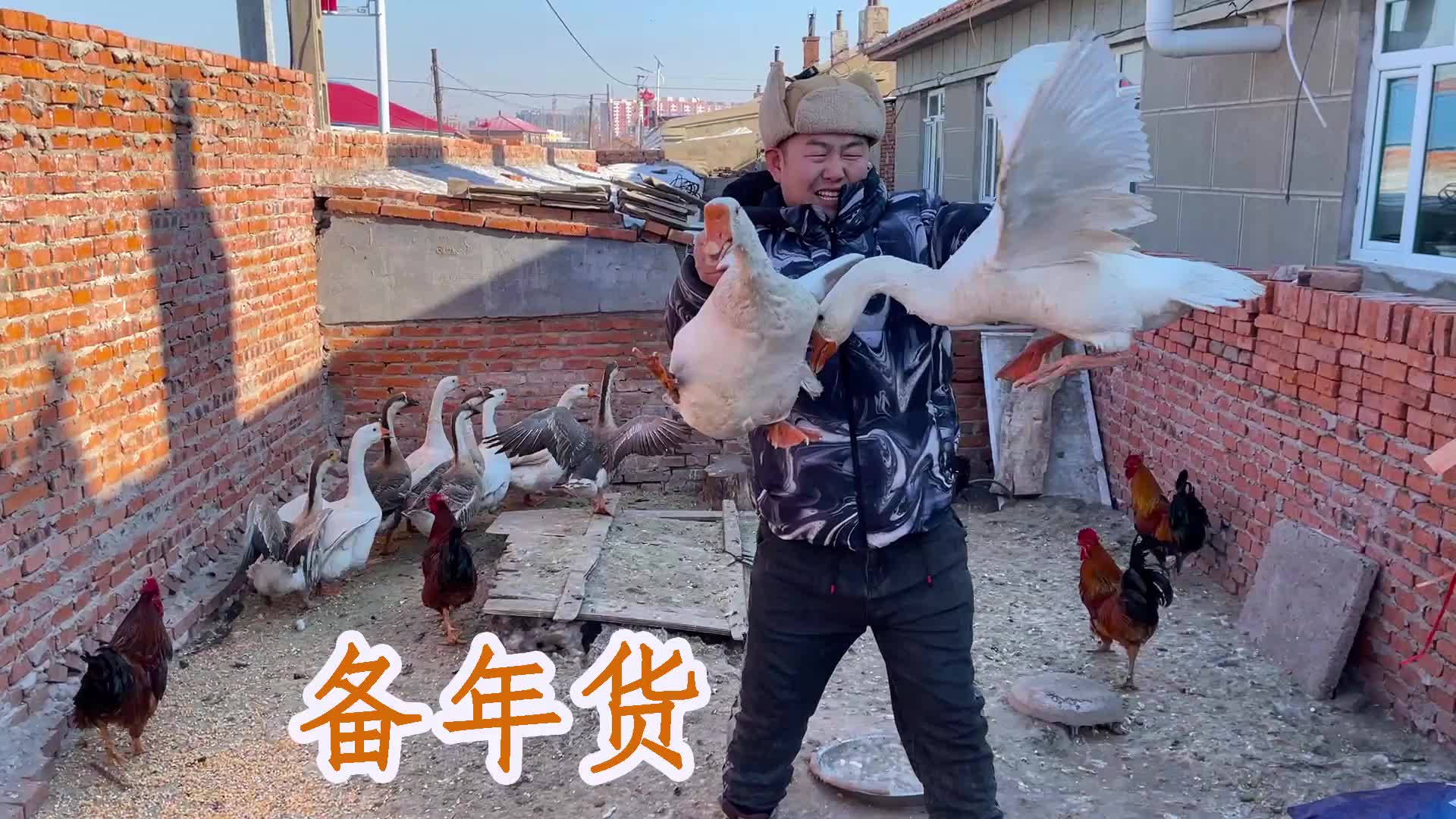 抓鸡鸭鹅备年货，忙活一天吃了一碗麻辣烫，过年了累并快乐着