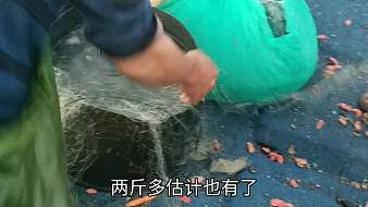 南澳島記錄員彪哥戶外直播_南澳島記錄員彪哥視頻直播 - 虎牙直播