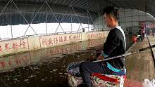 黑坑钓鱼体验温泉大棚的暴躁大鲤鱼！拿捏