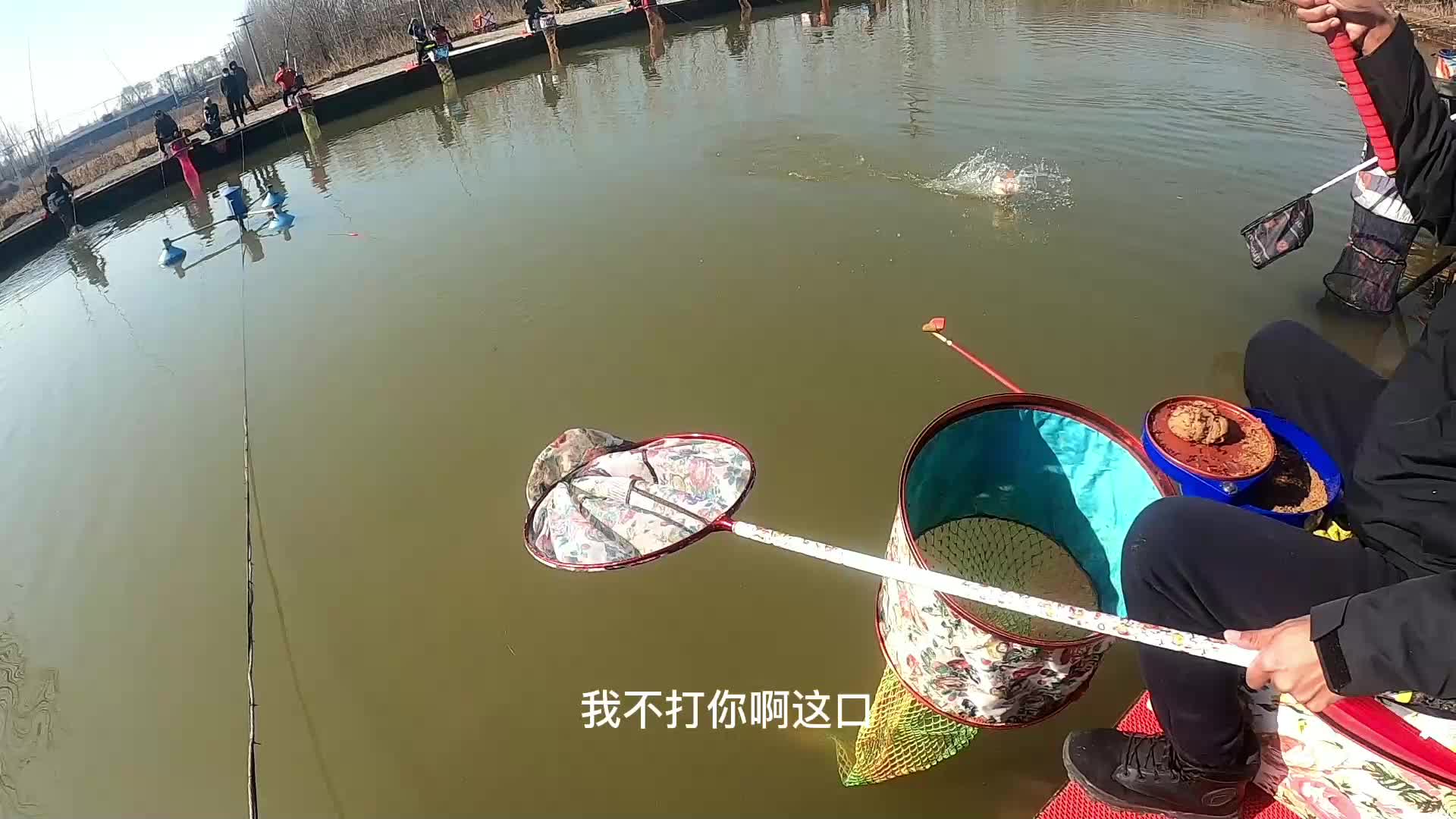 拿捏黑坑①气温低也不能阻止我爆连的气势！500票鲤鱼上岸盘老板