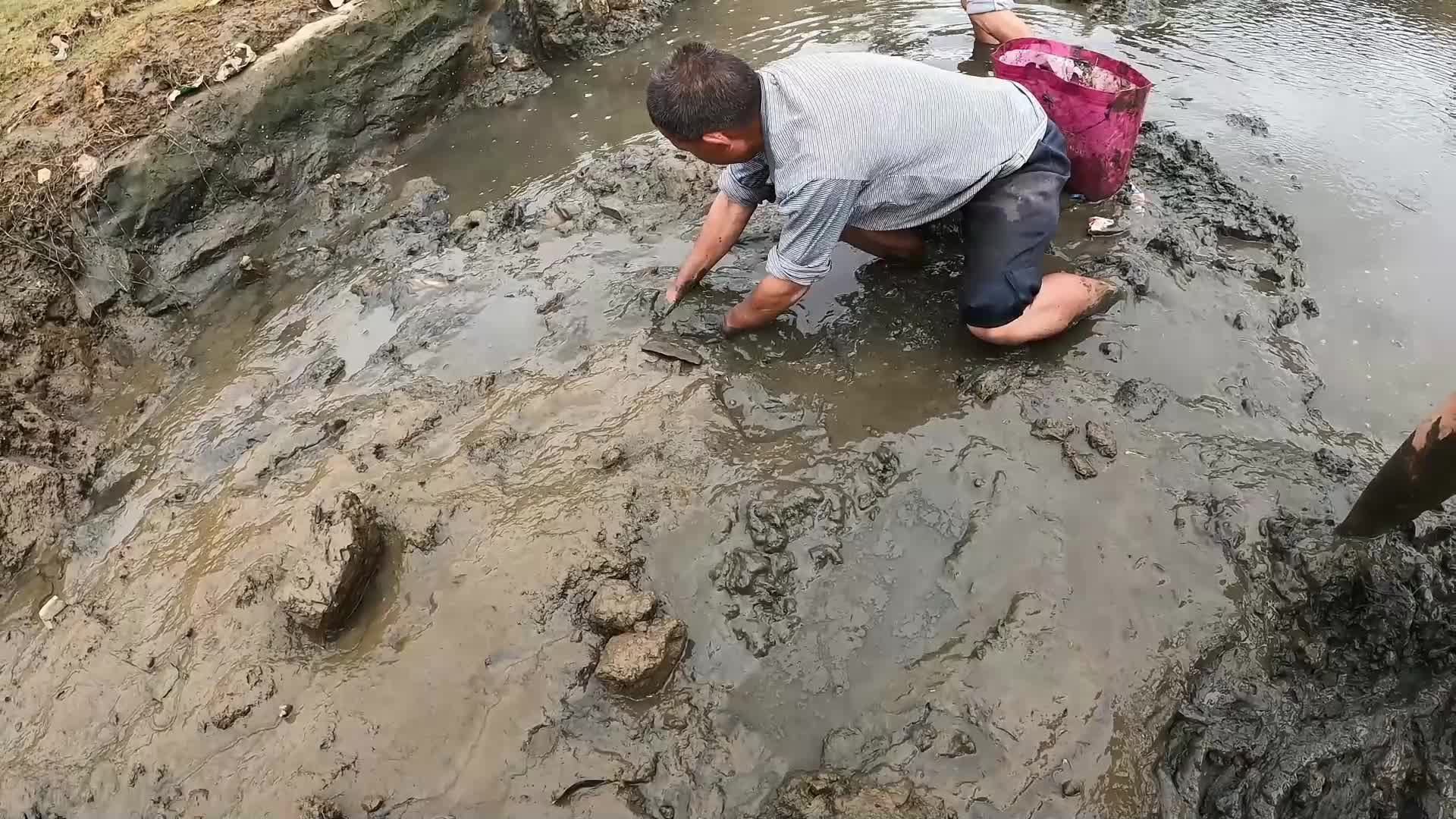 翻开水库泥土全是惊喜（上）