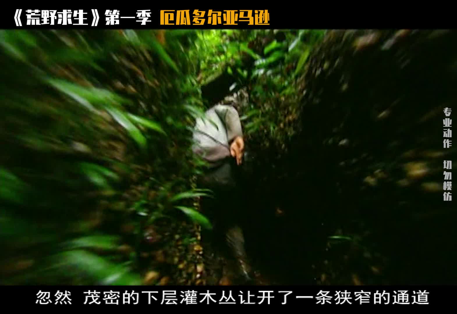 贝爷因缺水尽然喝这个...