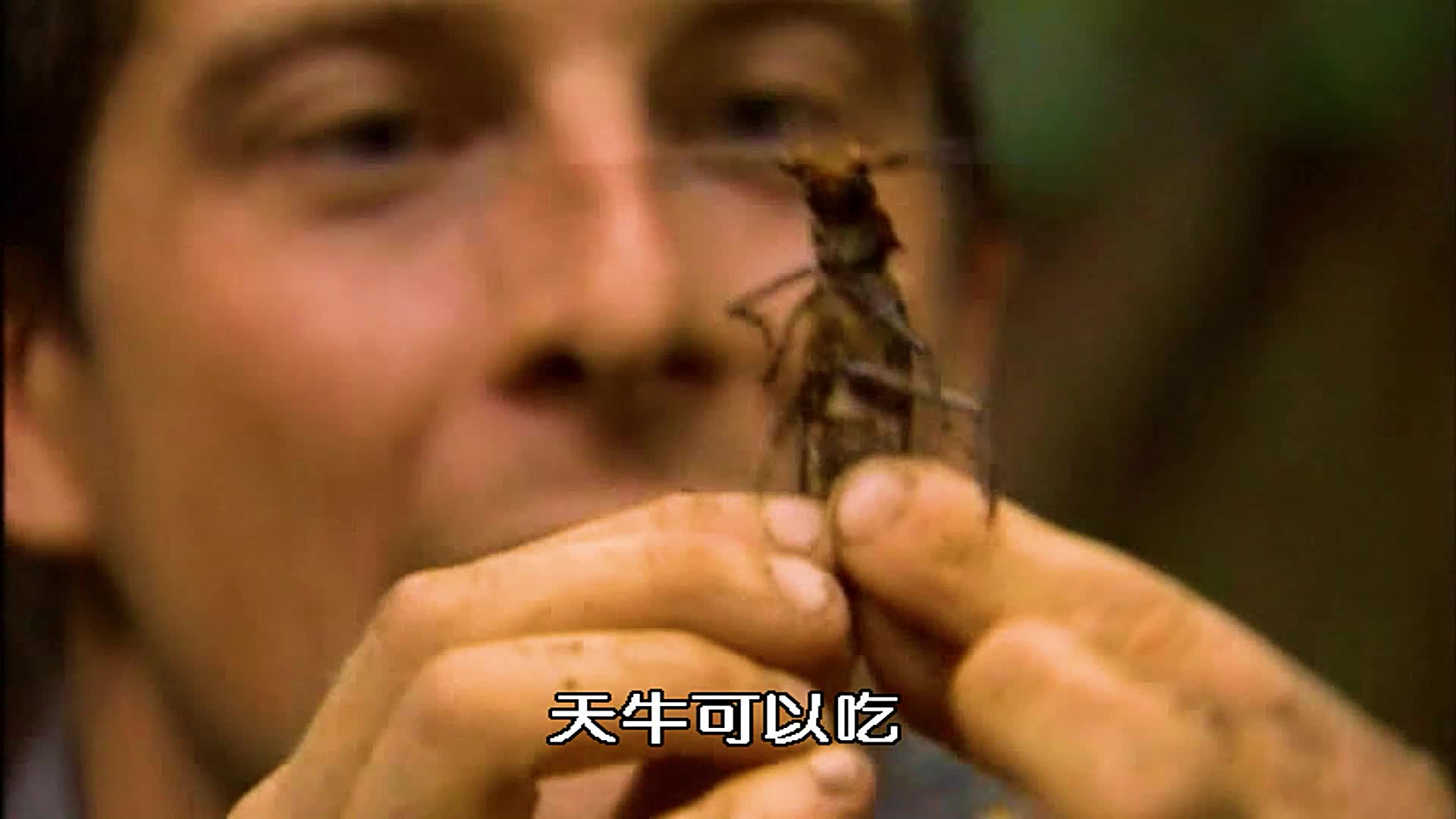 贝爷在巴拿马丛林7天牛，穿越沼泽