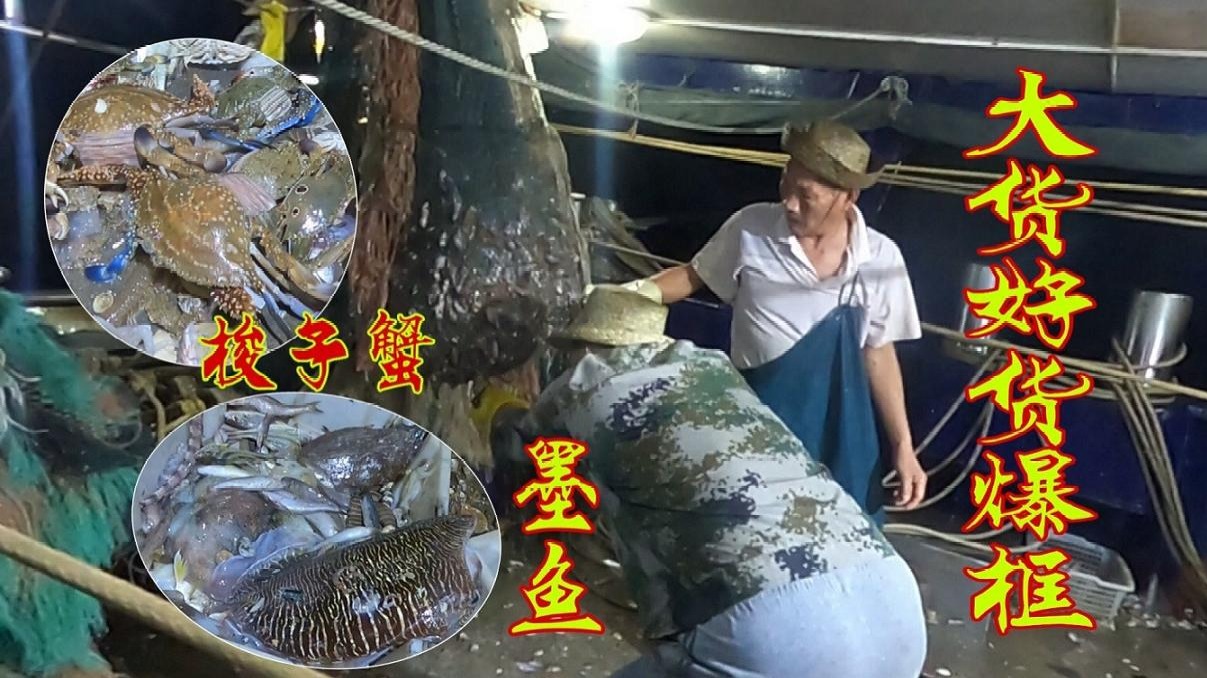 上海富婆花800元包船拖网，捞到一只生猛值钱大货，这次赚翻了