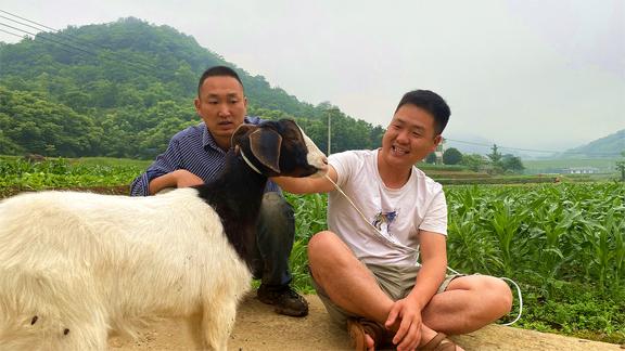 家里没什么菜了，大哥豪横杀只羊，做上三道菜，这味道真香