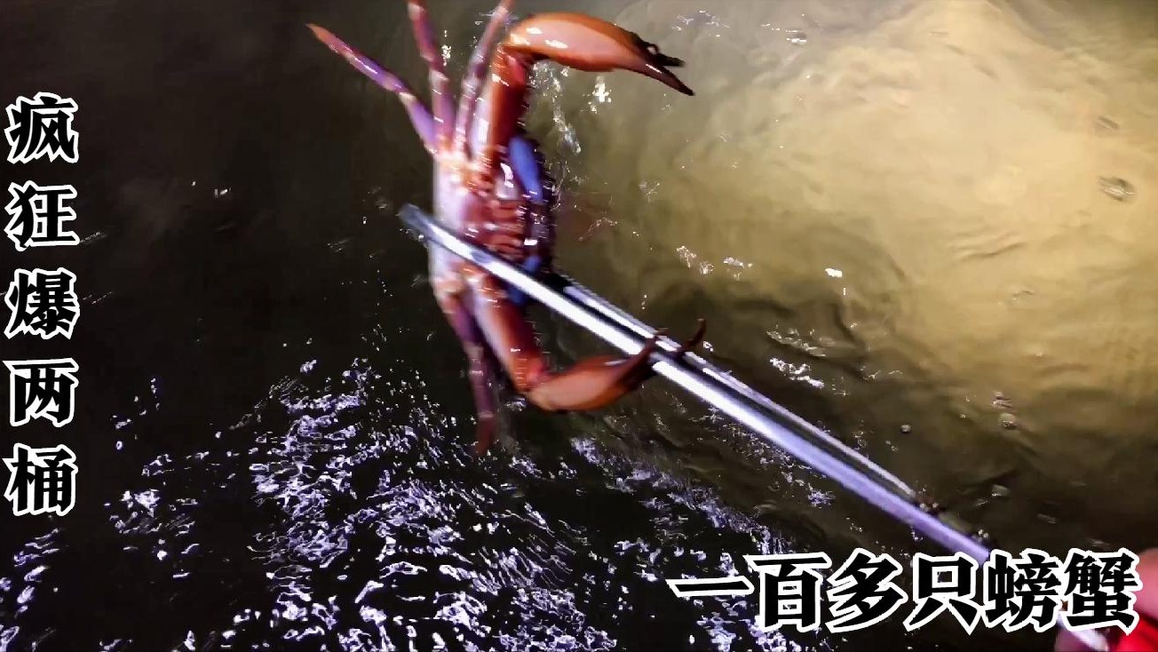 二哥赶海用“笼笼钓螃蟹”两条臭鱼做诱饵容易上货，大家学会了吗