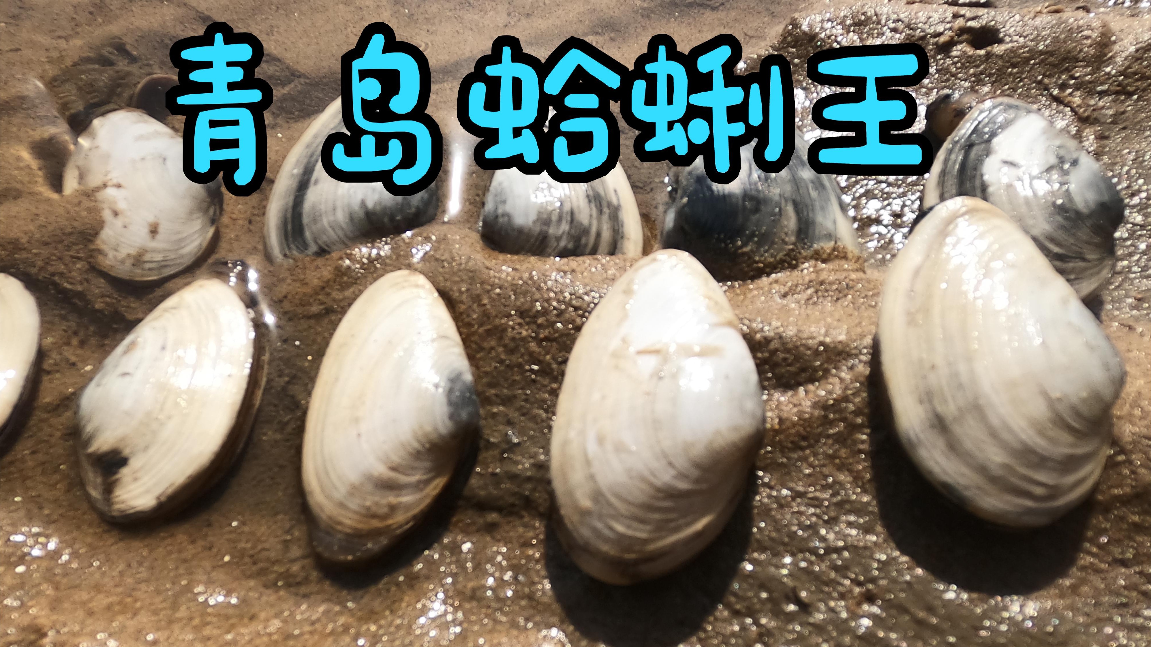 赶海二哥：带着铁锹来海里沙滩挖这种大个的恐龙蛋