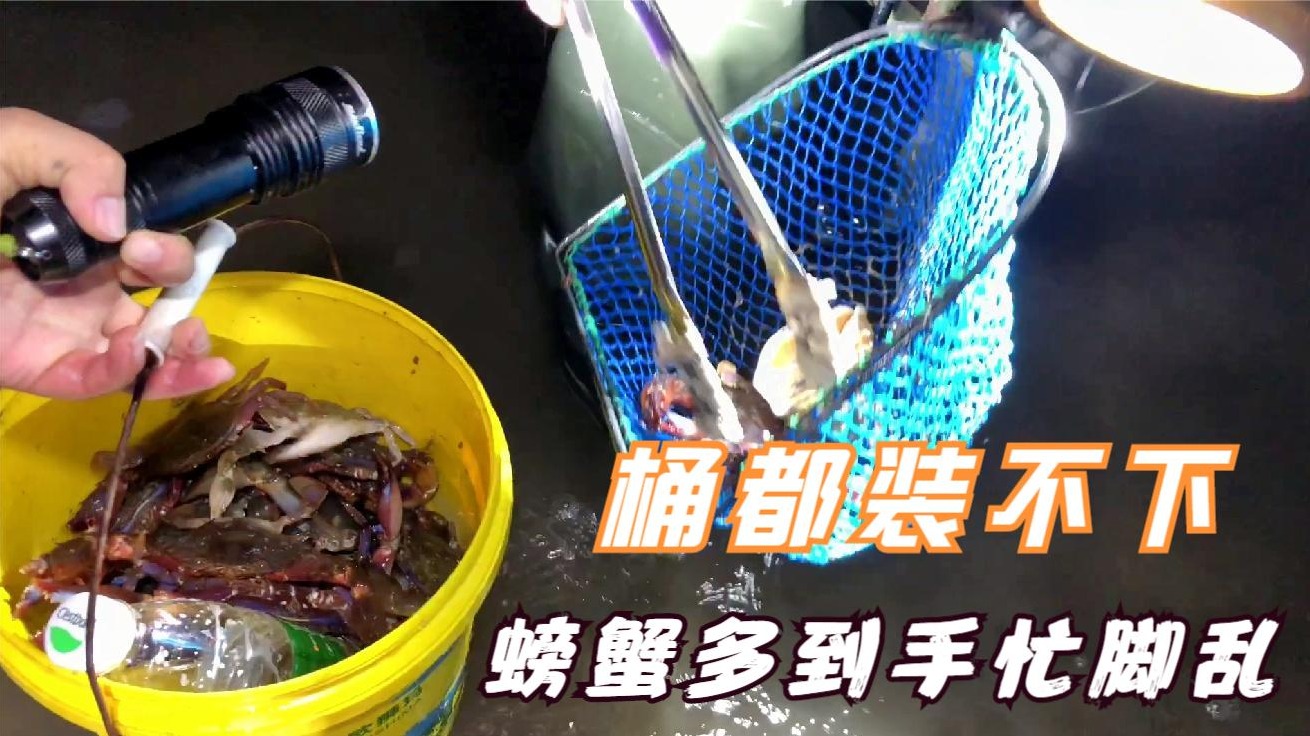 赶海遇到泥螺大量出巢，拼手速开启狂捡模式，赶海季节终于到了