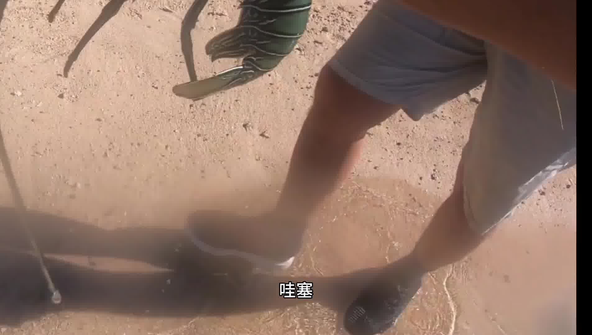 荒岛找到溶洞搭建庇护所