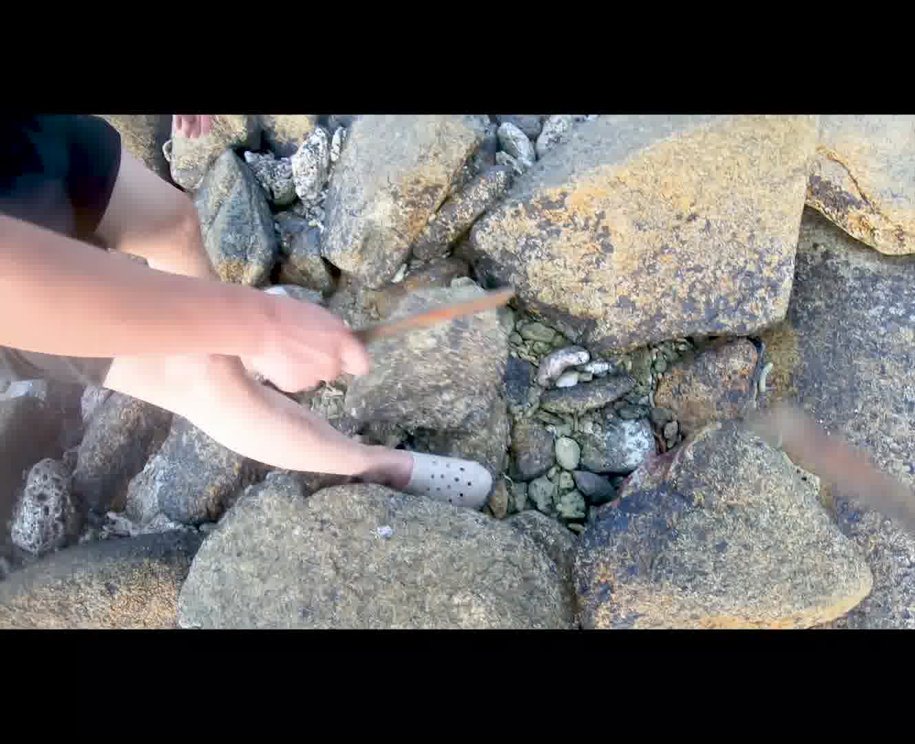 野外生存也能吃的香，鸡蛋包野柿子！