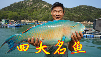 小渔村阿兴的直播