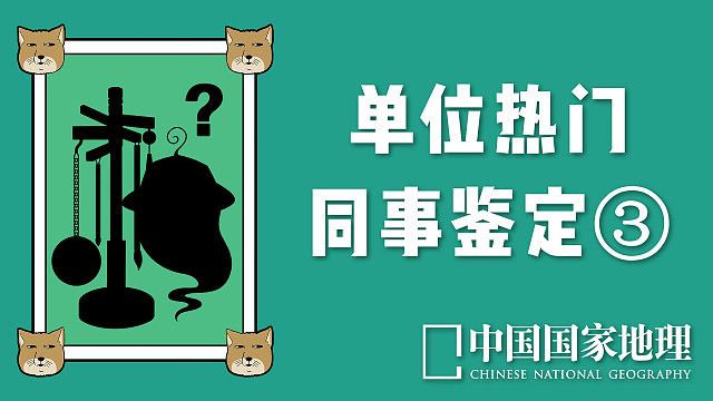 【宝藏同事】林语尘:《博物》杂志的隐藏大神"背后灵"首露真身_虎牙