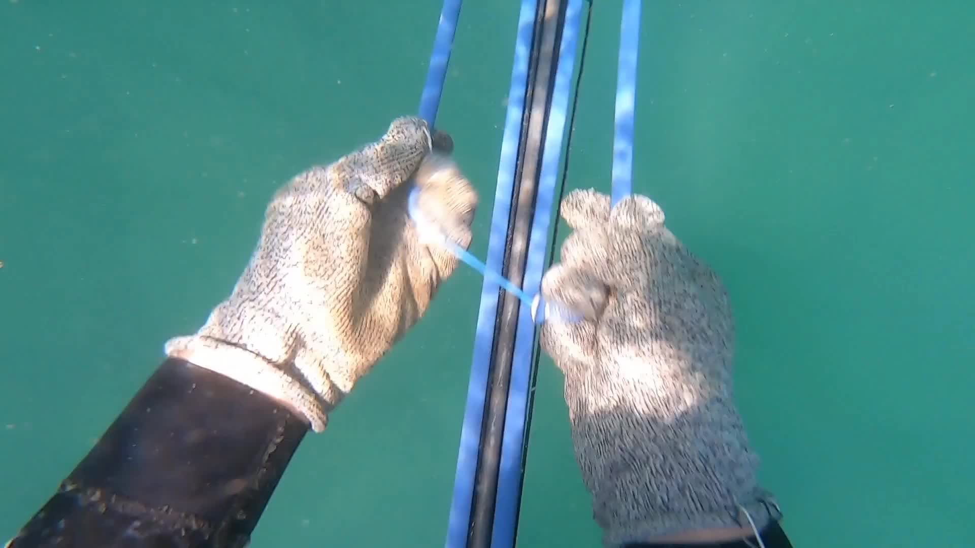老表打中凶猛大海狼，阿锋抓到一条帝王级鱼王，两人打平手