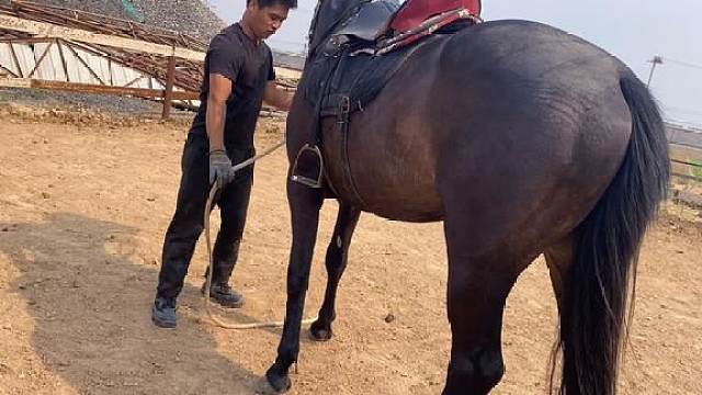 驯服山东烟台烈马(7)