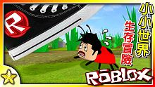 Roblox 模擬遊戲 變身成【小小昆蟲】體驗大自然生態與【超刺激】的生存冒險！居然還有【生死鬥】與
