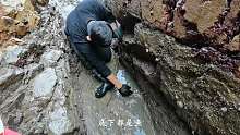 二十多米长的海峡沟原来是鱼群的老窝，小明独占整条海峡沟