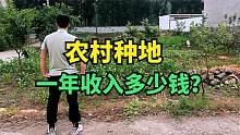 在农村种地一年收入有多少？农民奶奶说出真实收入，听完你信吗