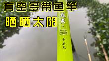 野钓实战测试，经典一代3.9米化氏飞鲨鱼竿，从未被超越！