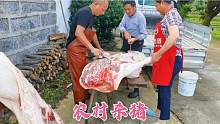 安徽猪肉直降到底，农夫端午节杀头大肥猪，看看能卖多少钱