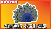 【代碼】如何在Roblox獲得全新腰部物品: 冬季孔雀尾 超漂亮的 《Roblox活動系列》#rob
