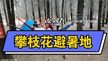 攀枝花驱车1-2个小时的避暑地！