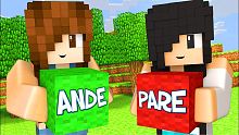 CUIDADO NO SINALEIRO (Minecraft Mini Games)