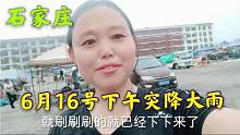 6.16下午石家庄突降大雨，聪明人都提前收摊，夏天雨急不能下在收